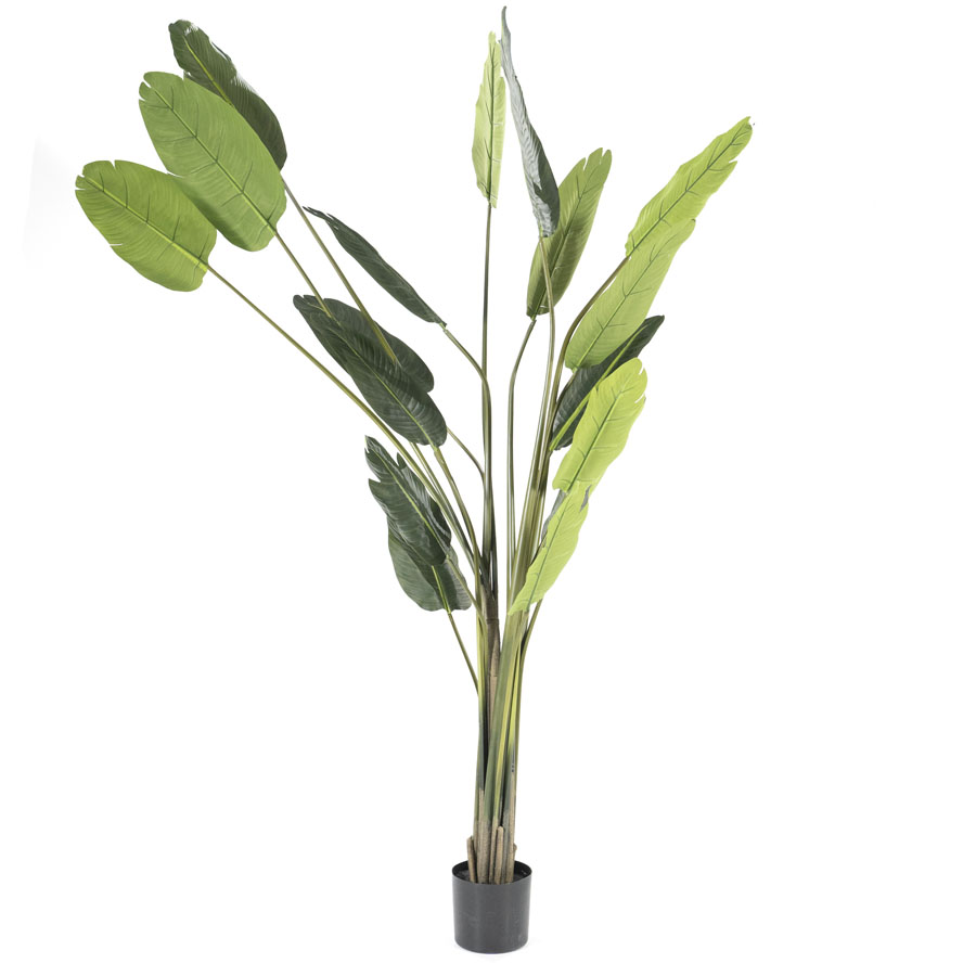 Palme groß (pro 2)