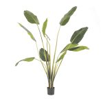 By-Boo-Palme-mittel-pro-2