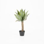 By-Boo-Pflanze-Agave-auf-geradem-Stiel-mit-Topf-pro-2