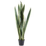 By-Boo-Pflanze-Sansevieria-132cm-Pro-2