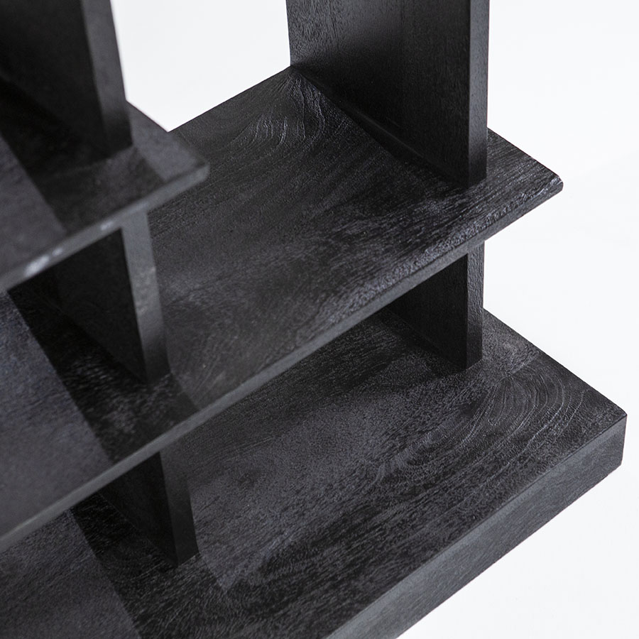 Eleonora-Buecherregal-Oliver-120x40x220-schwarz-5
