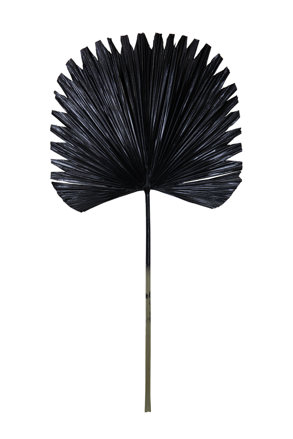 Ornament PLANTAE schwarz