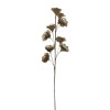 Ornament 9 Blumen FLOWER hellgold